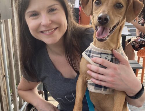 Leading from the Ground Up: How Sydney McClure is Uniting Kentucky for Change